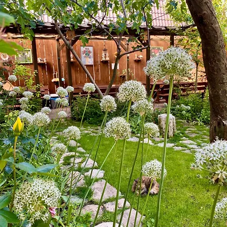 Casa Double M, * 바마베체