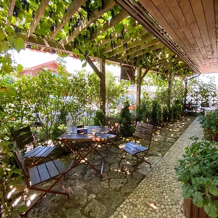 Casa Double M, Privat bolig Vama Veche